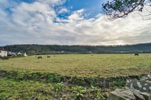 Photo 44- click for photo gallery